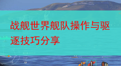 战舰世界舰队操作与驱逐技巧分享