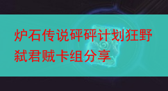 炉石传说砰砰计划狂野弑君贼卡组分享