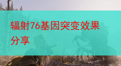 辐射76基因突变效果分享